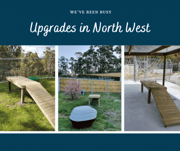 Burnie & Devonport Improvements Dogs' Homes of Tasmania