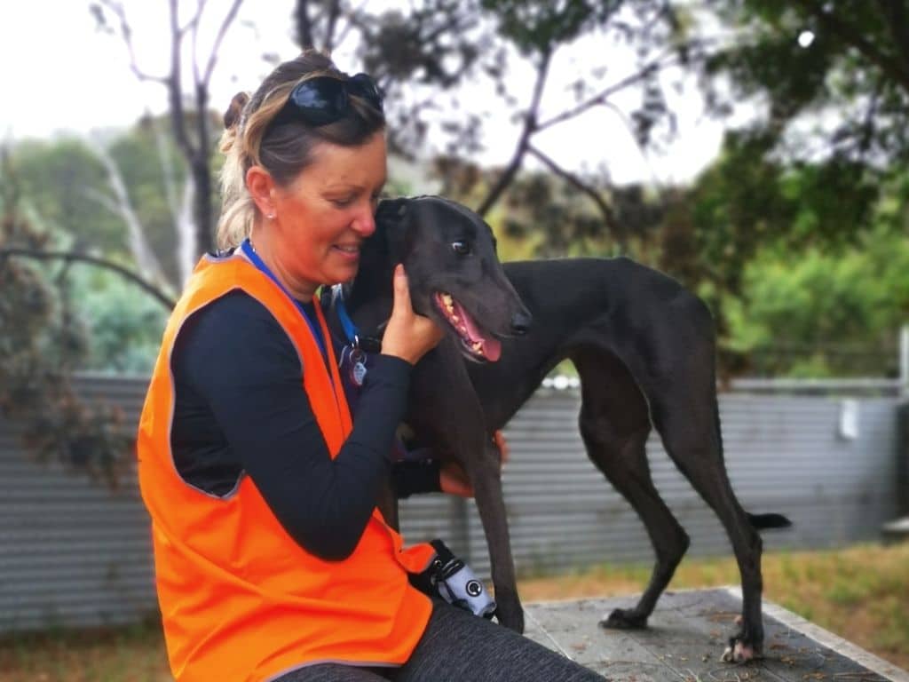 Rescue Greyhound and volunteer