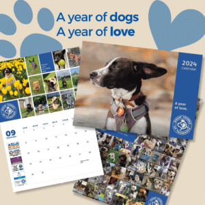 Dogs' Homes of Tasmania 2024 Calendar