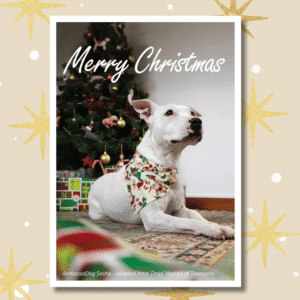 Christmas Card - Sasha wishes you a Merry Christmas