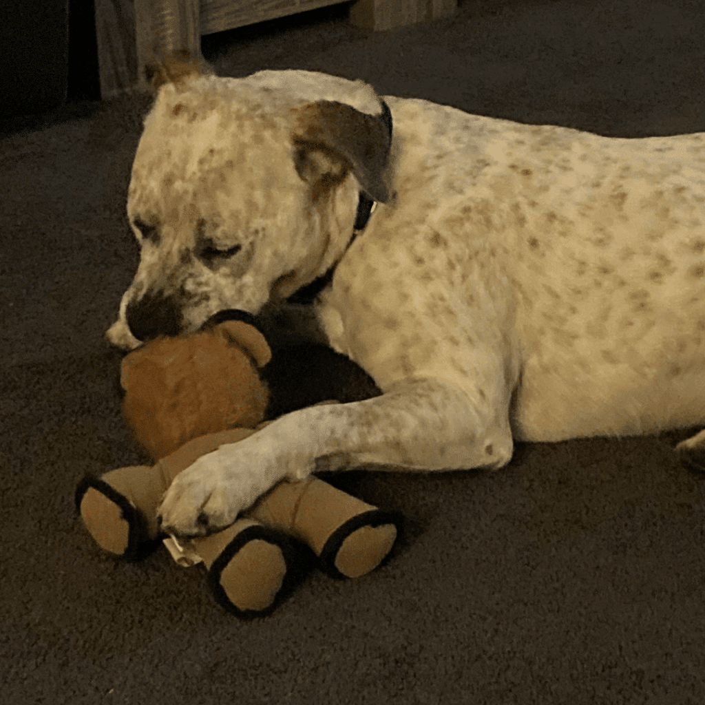 Sam with his toy