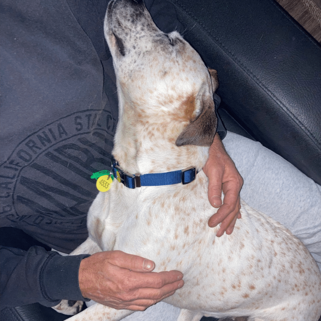 Sam cuddling his new human