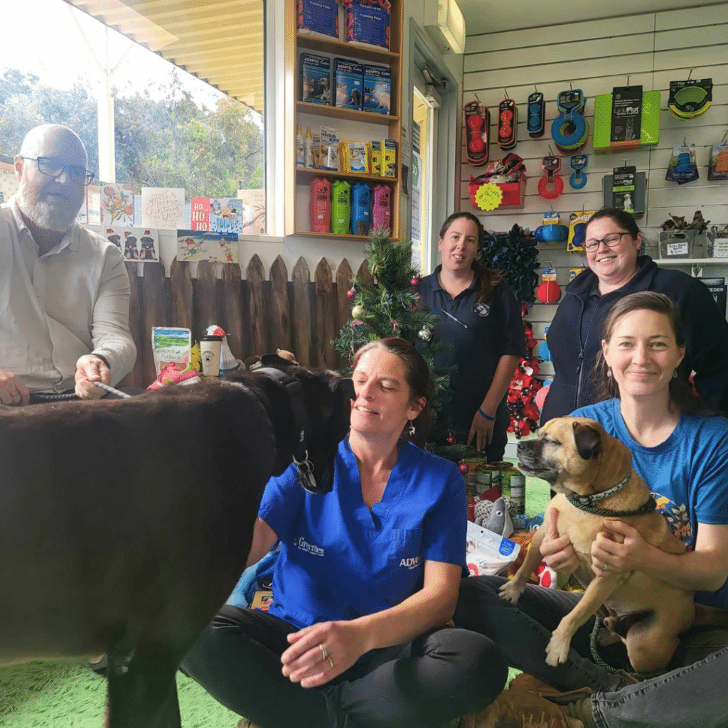A photo fail with staff and dogs around the tree