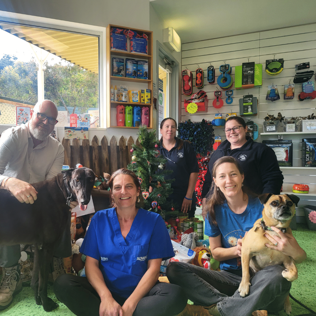 Giving still in season for Christmas Appeal Dogs' Homes of Tasmania