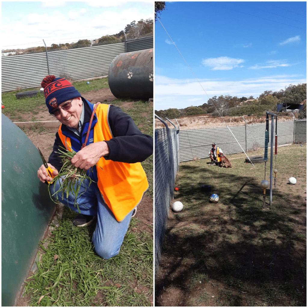 Helping Hans cutting grass