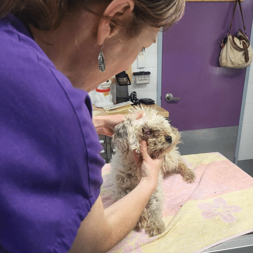 Elliot's eye was badly infected