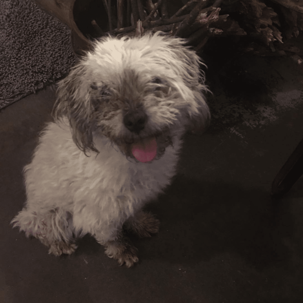 Elliot in foster care