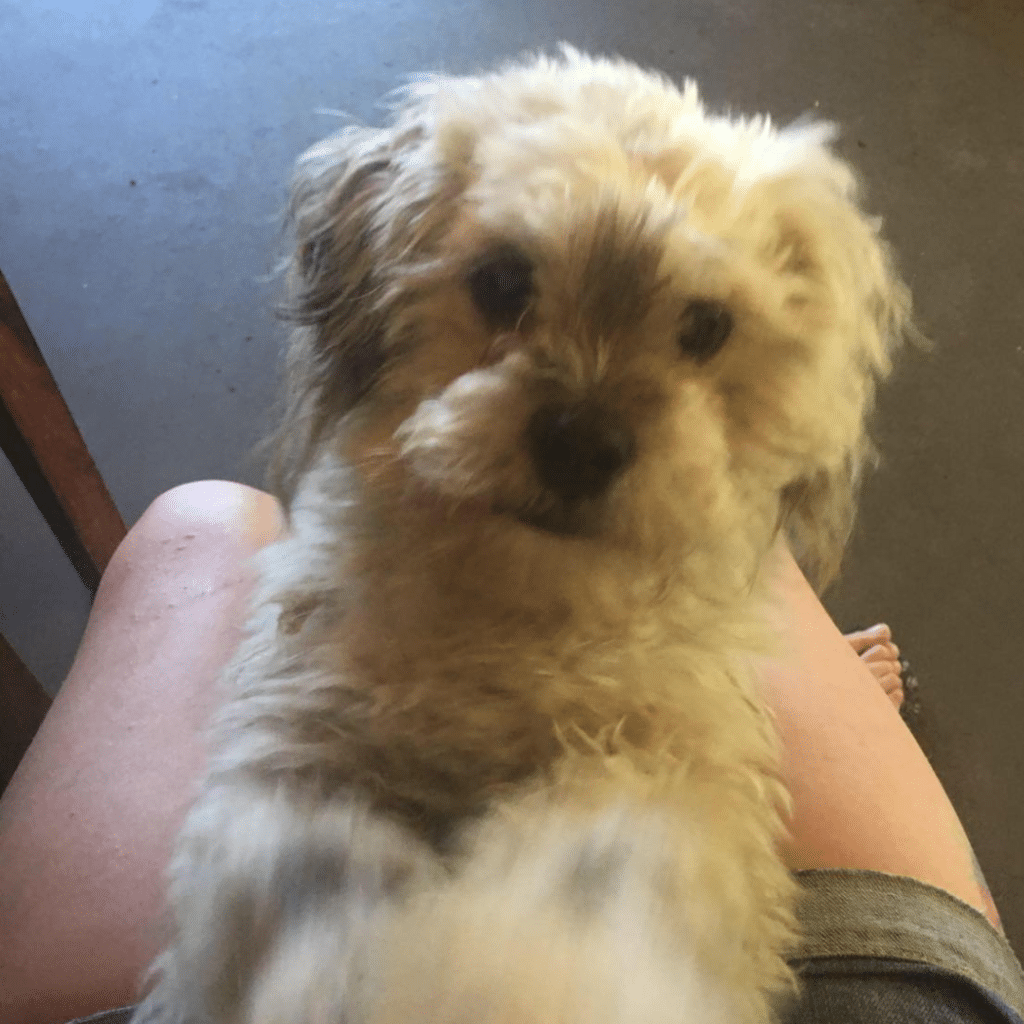 Elliot in foster care