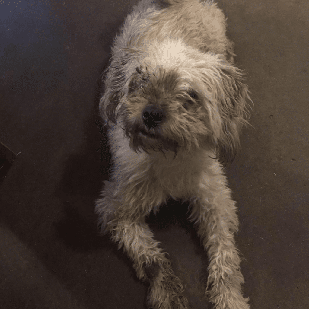 Elliot covered in mud