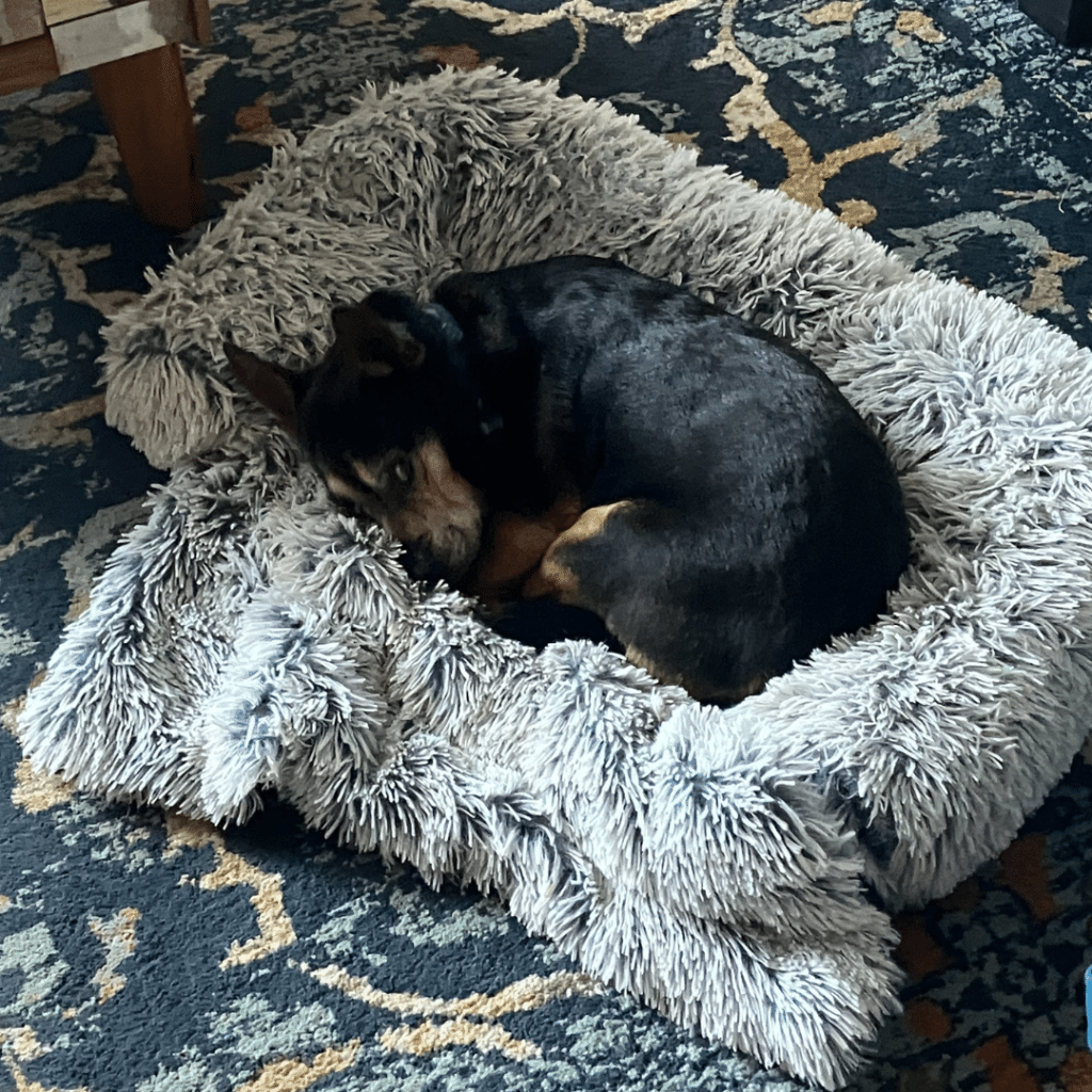 Boston's entry in last year's Winter Warmers photo competition