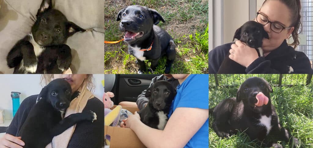 Twirl with her forever family