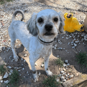 Elliott when he was with us, after a good tidy-up