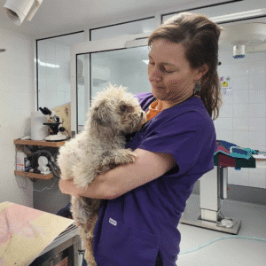 Elliott with vet Ros when he arrived at the Hobart Dogs' Home