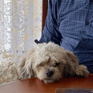 Elliott gets plenty of lap time now