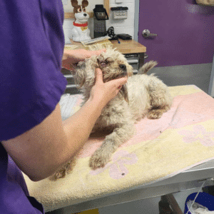 Elliott gets that icky eye looked at