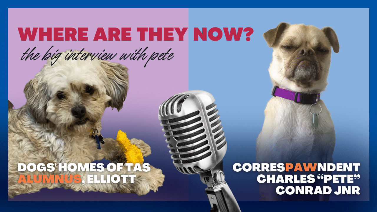 Where are they now: Pete interviews Elliott