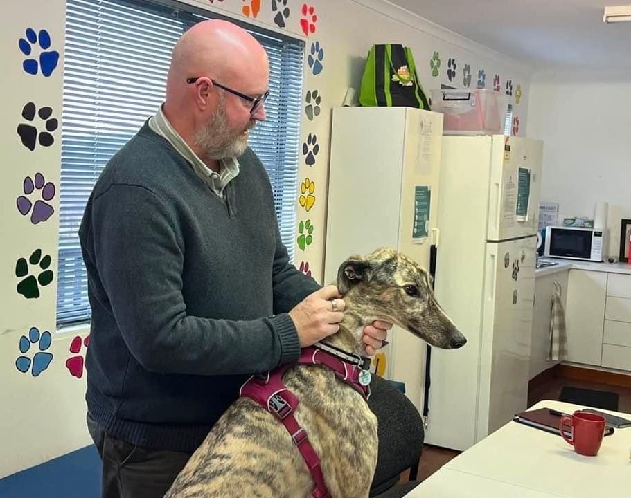 CEO Mark Wild with Greyhound Comet