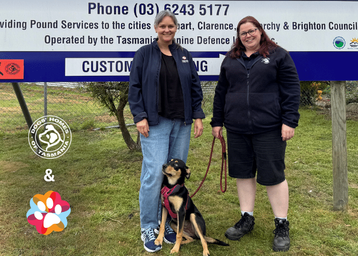 Staff at Hobart Dogs' Home
