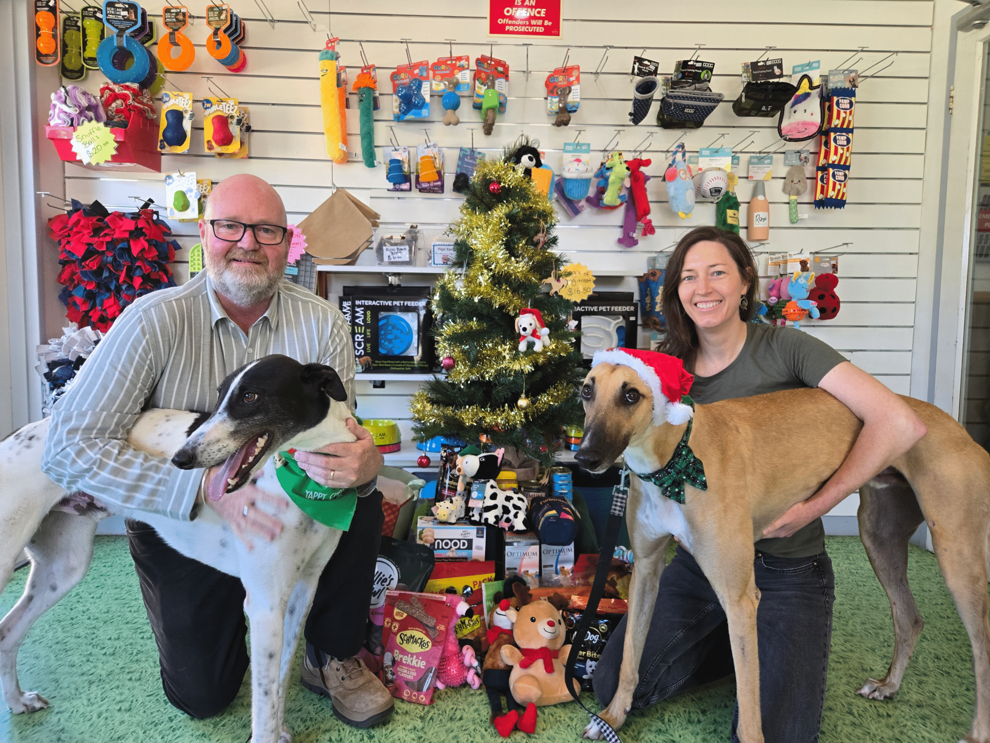 Mark, Ros, Jake and Gold Christmas 2024 2_edit