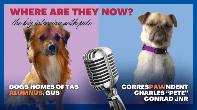 Gus being interviewed by Pete