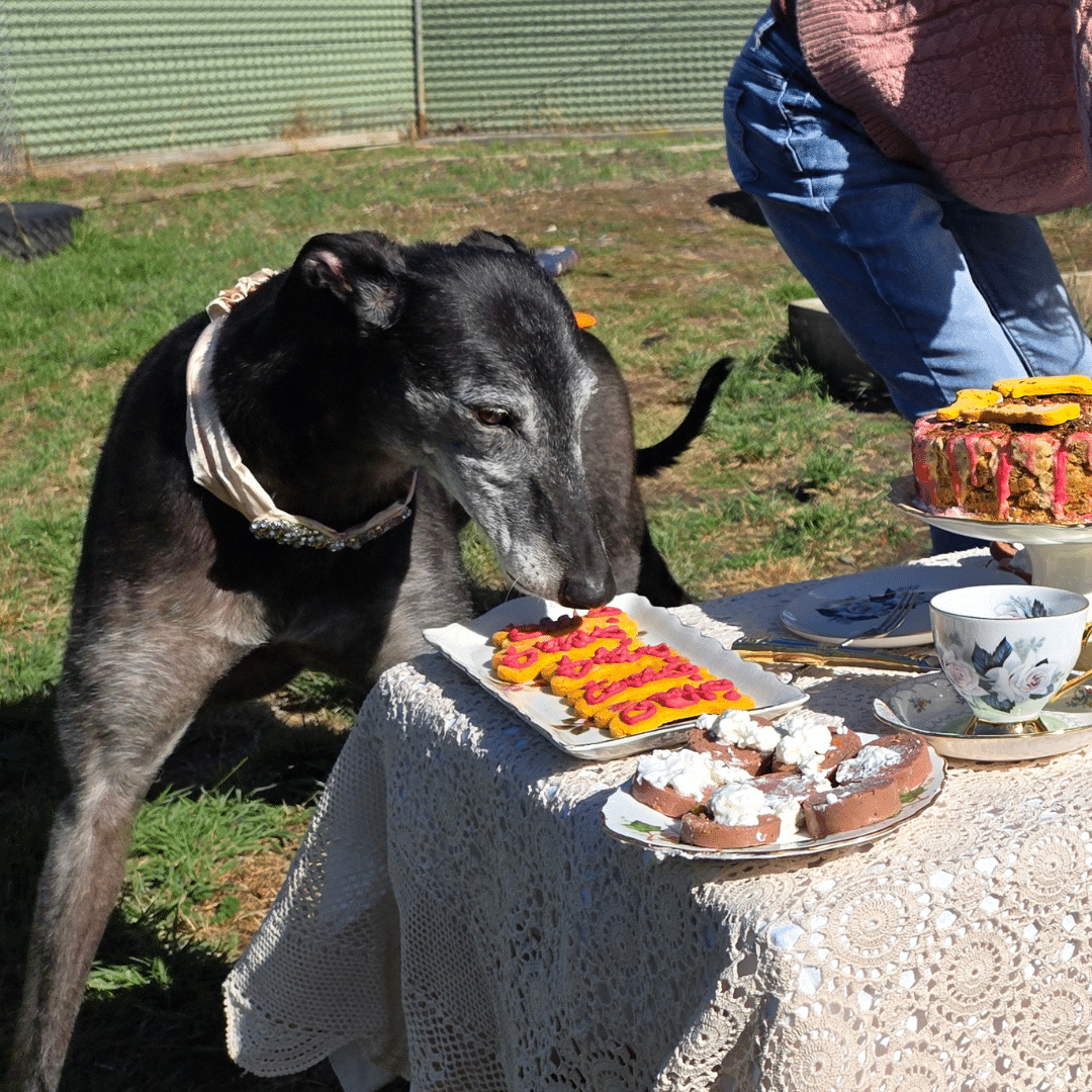 Belle continues to consider her options.