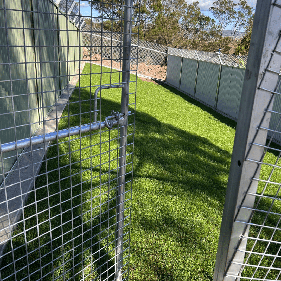 New Launceston Dogs' Homes yards after development