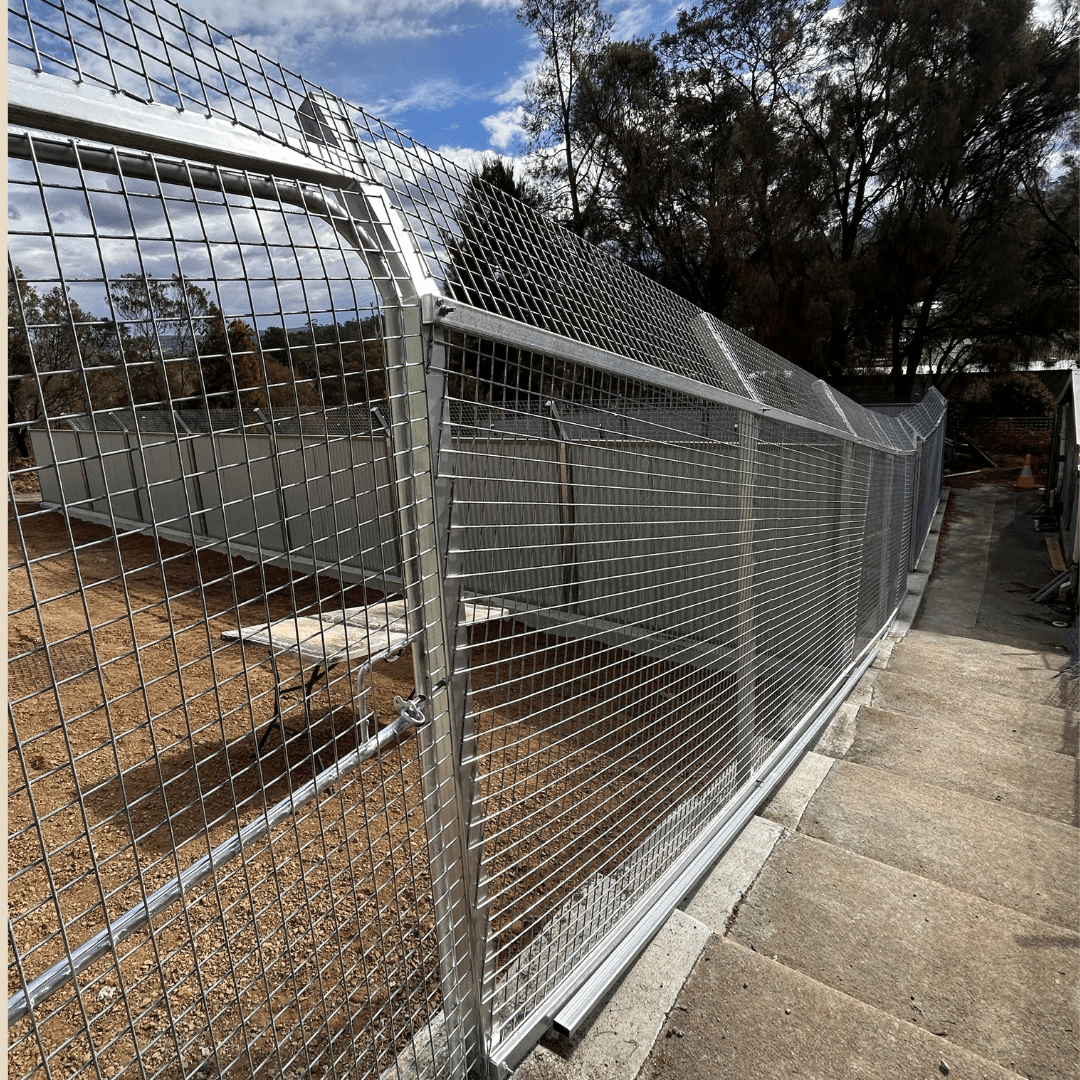 Launceston Dogs' Home yards during redevelopment