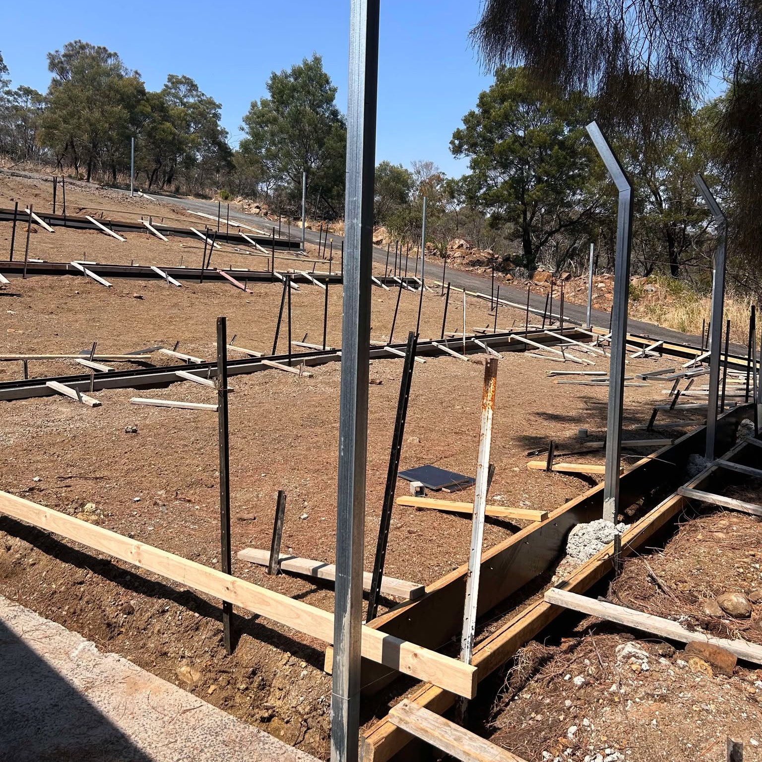 Launceston Dogs' Home yards during redevelopment