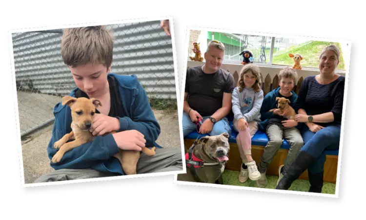 Photo collage of Blossie and her new family