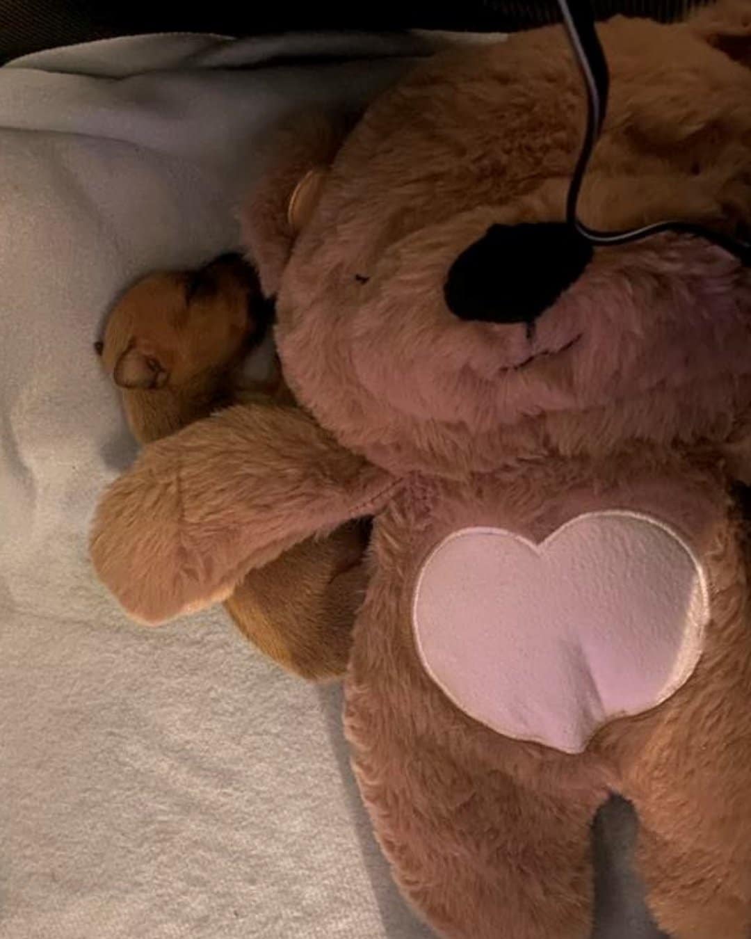 Blossie Recovery Journey (3)