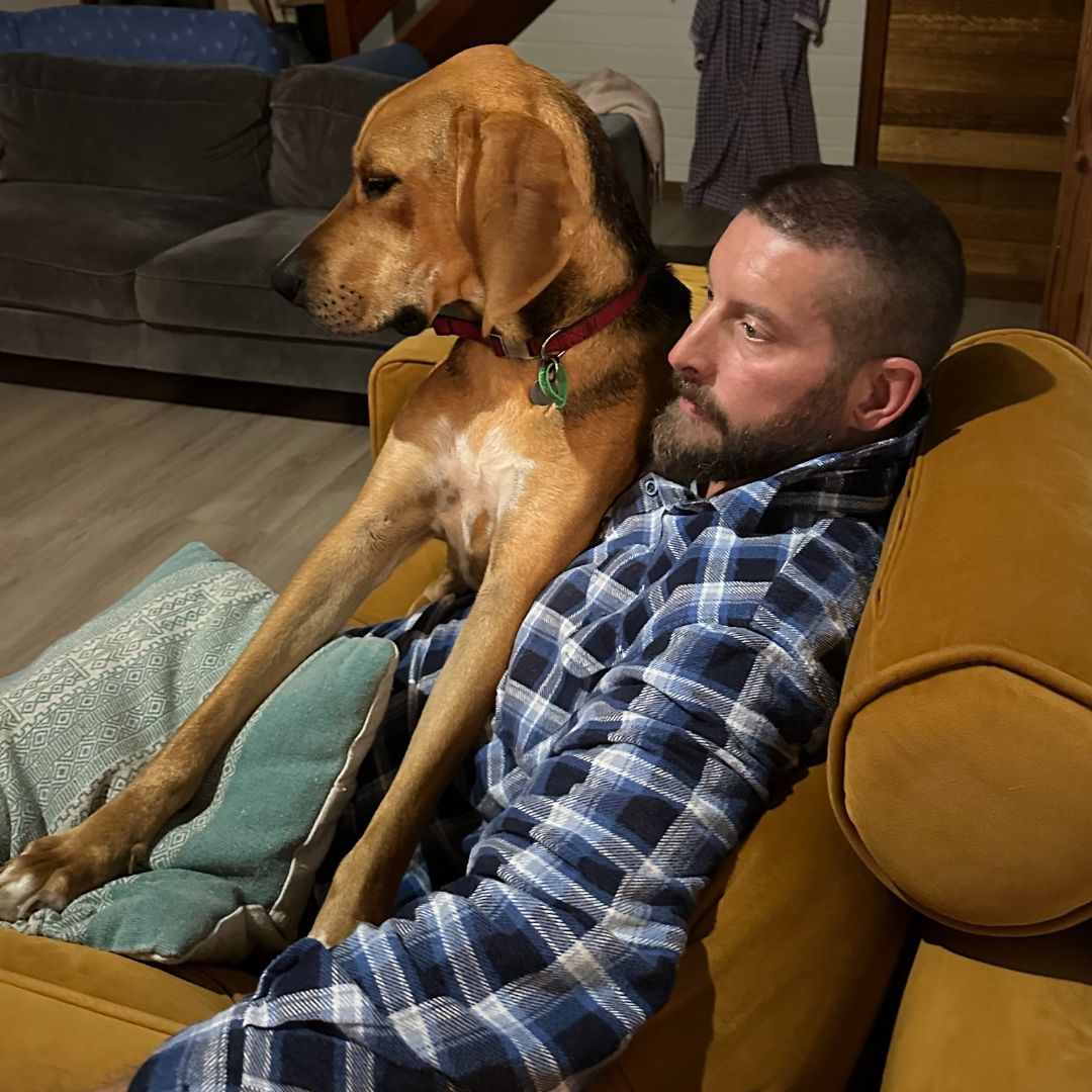 Copper says "I am a lap dog!"