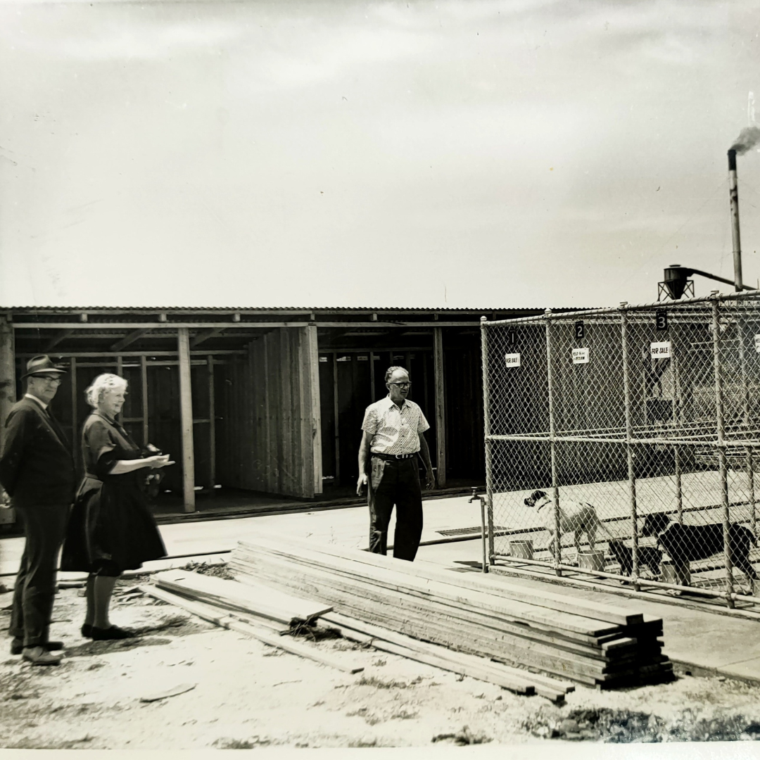 Early days of Launceston Dogs’ Home