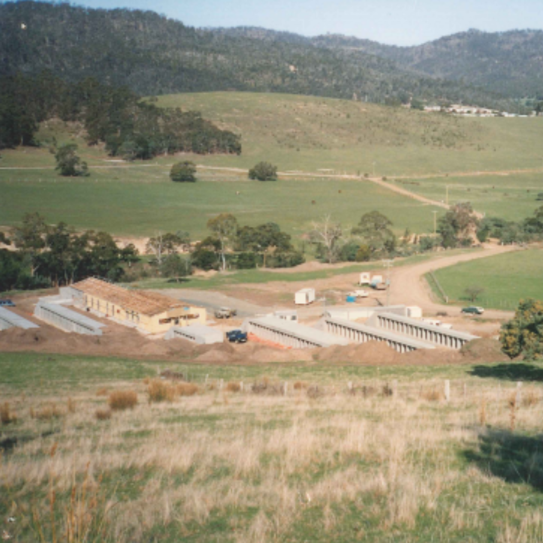 Early Hobart site circa 1990