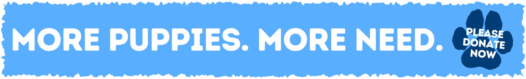 More Puppies. More Need. Please Donate Now.