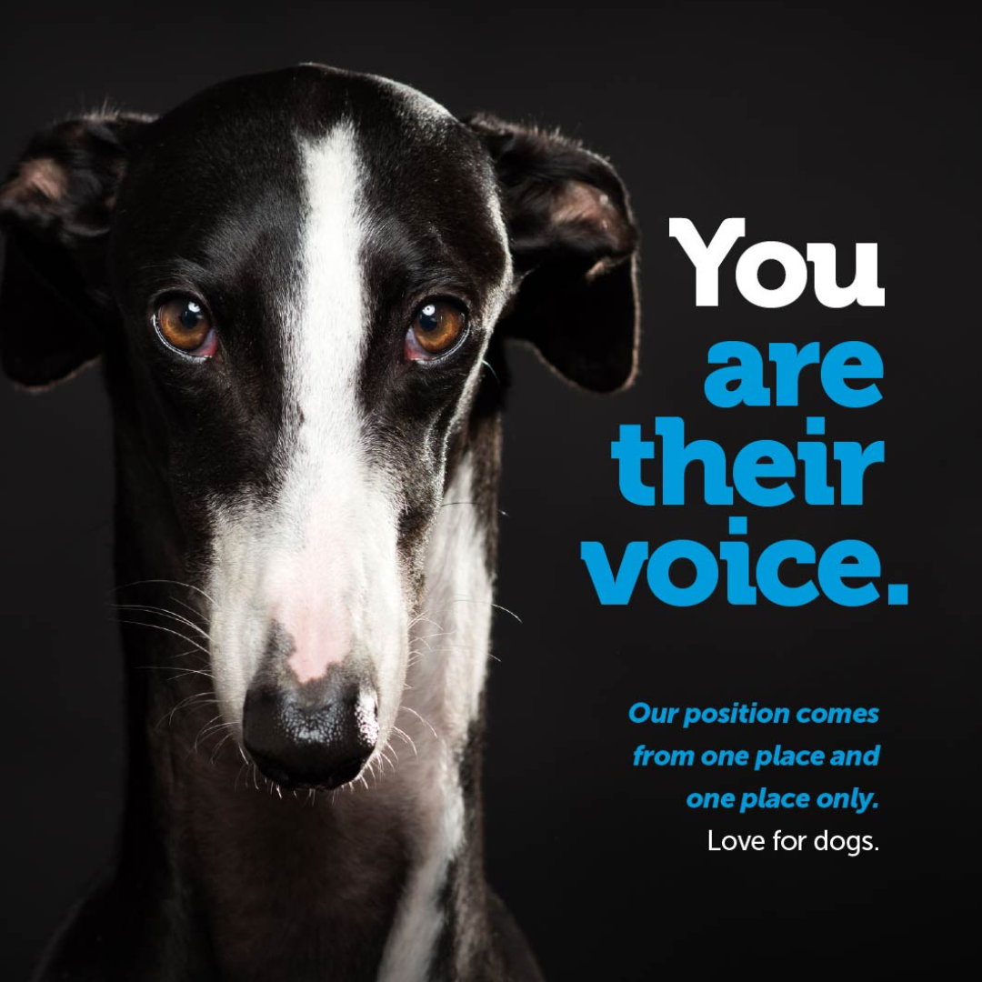 You are their voice greyhound campaign
