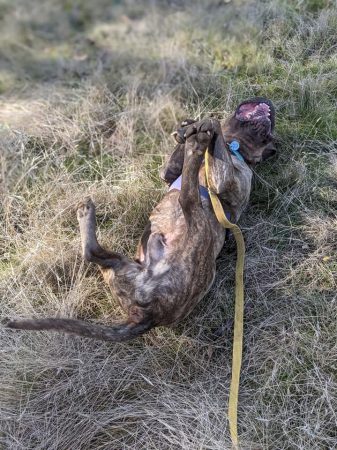 230631489_10102789034541458_7633043626468839391_n