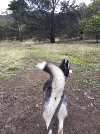 240688761_1510295652645308_8933860116875027580_n