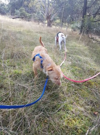 242428190_290545909200020_6799232028808136825_n