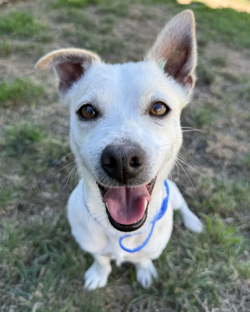 Aly sitting on the grass smiling
