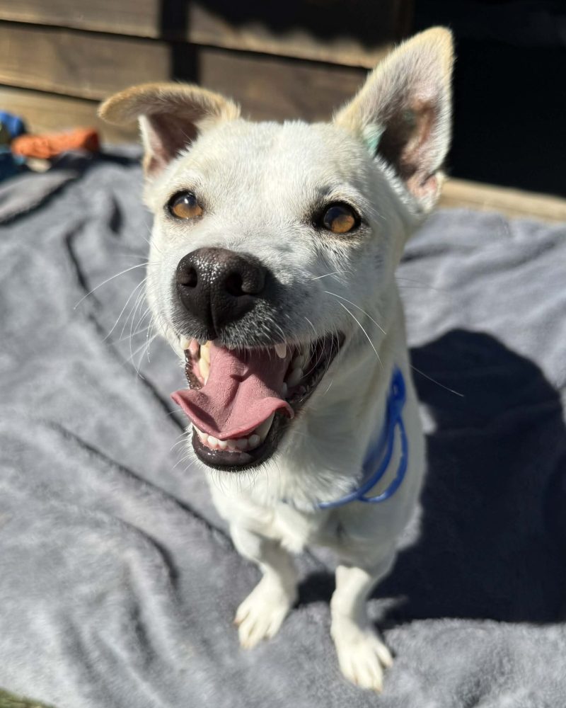 Aly sitting on a blanket outside looking happy