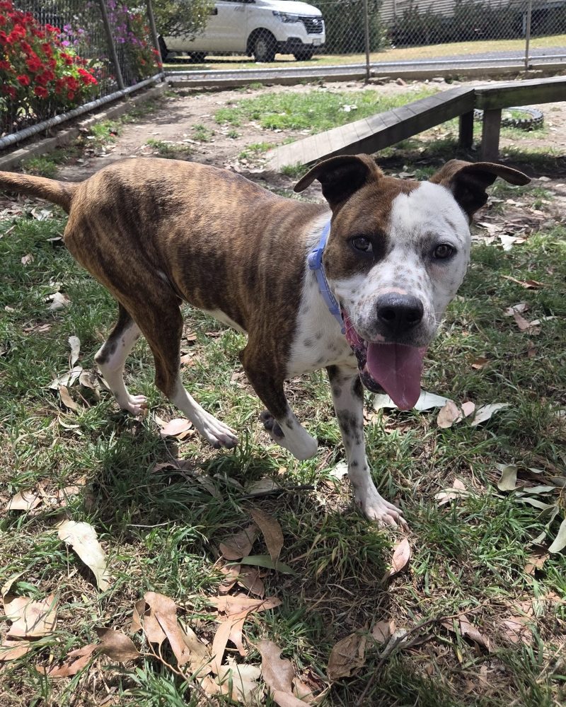Bonnie standing outside in the sunshine