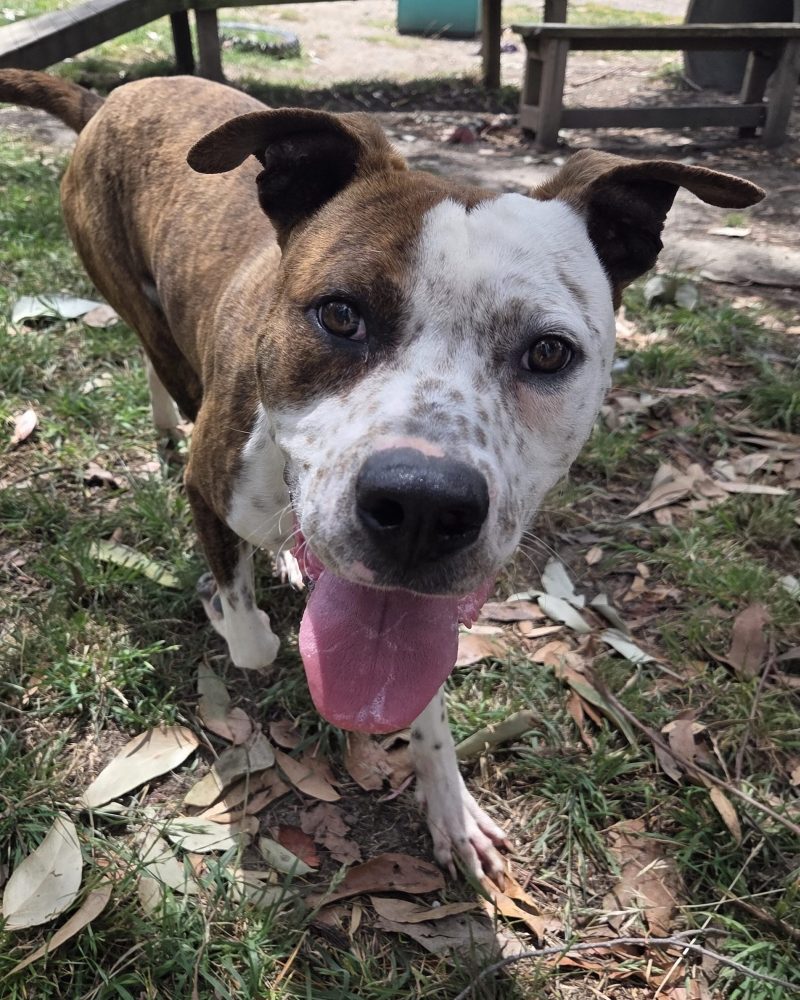 Bonnie standing outside in the sunshine