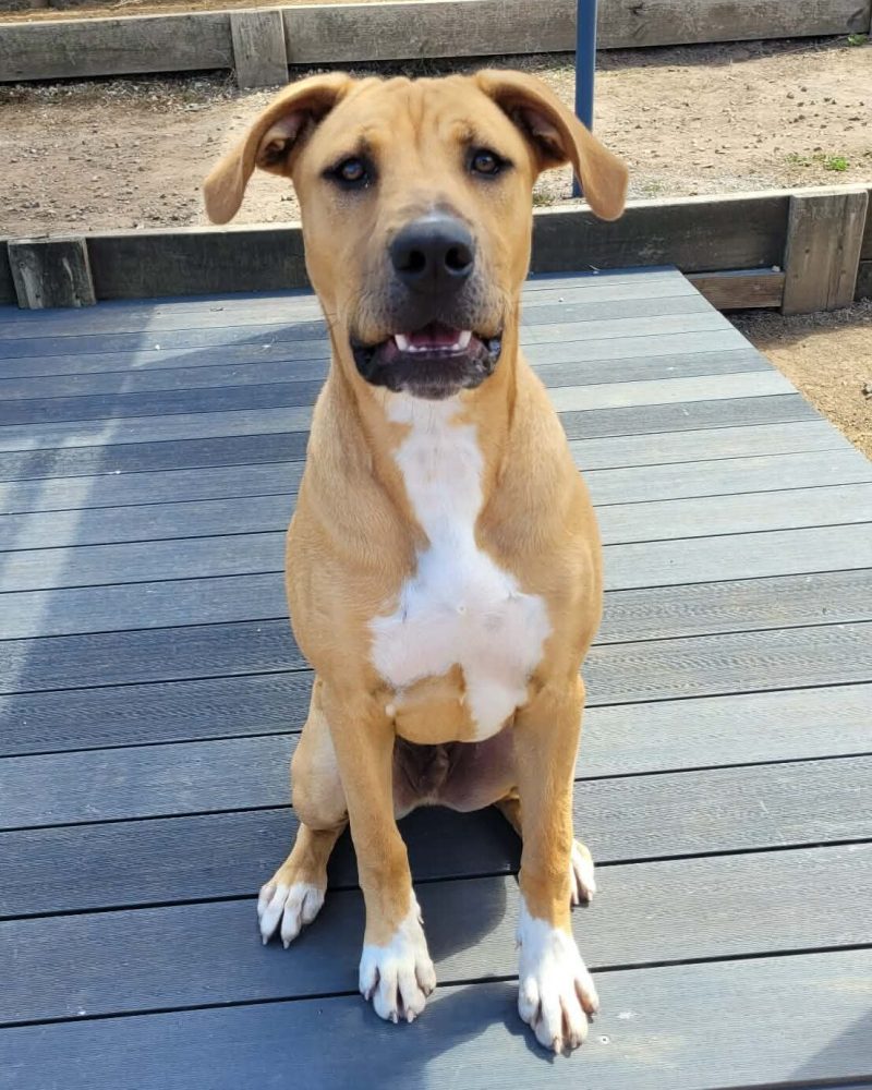 Burton sitting outside looking a little goofy