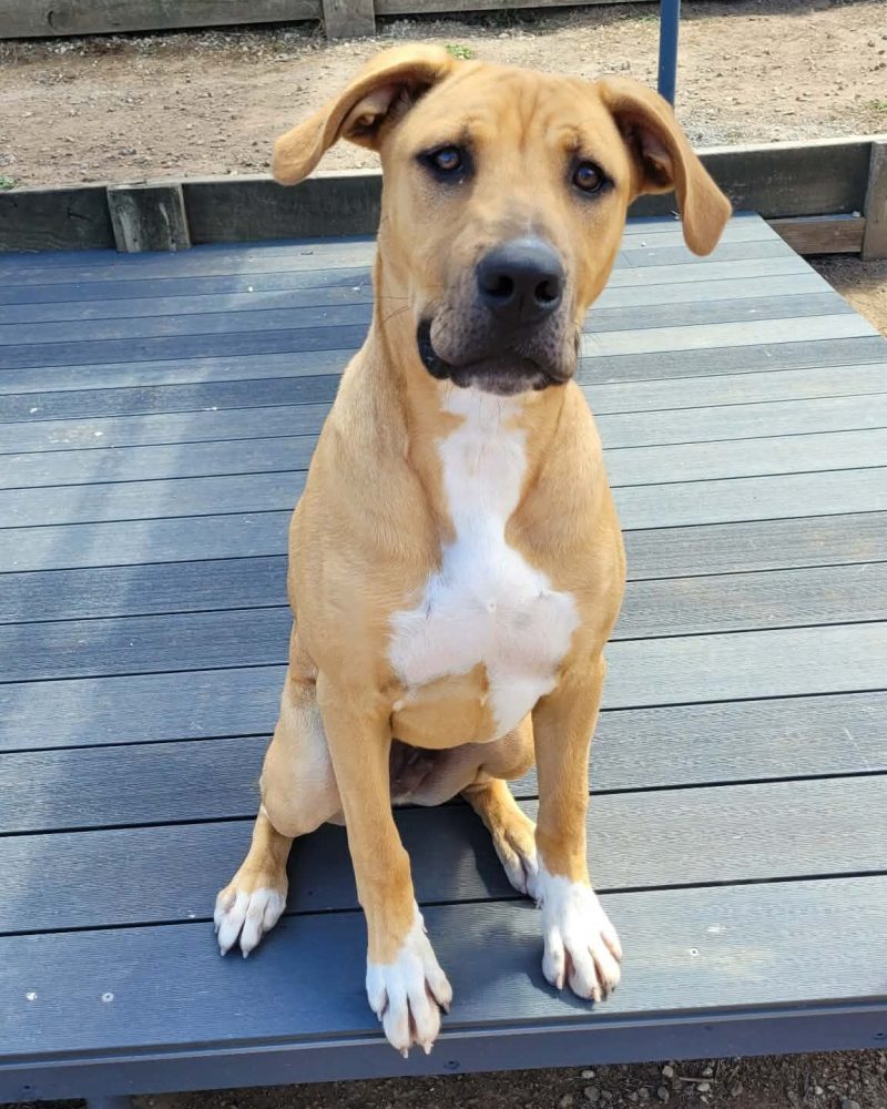 Burton sitting outside looking serious