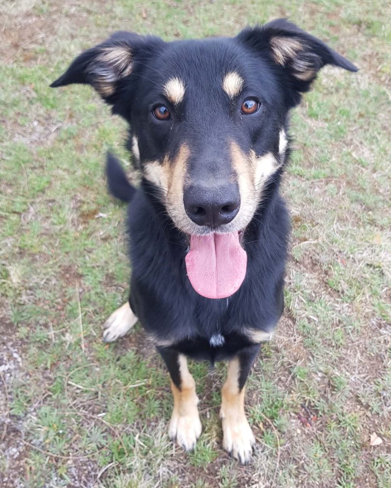 Cedric sitting on the grass with a smile