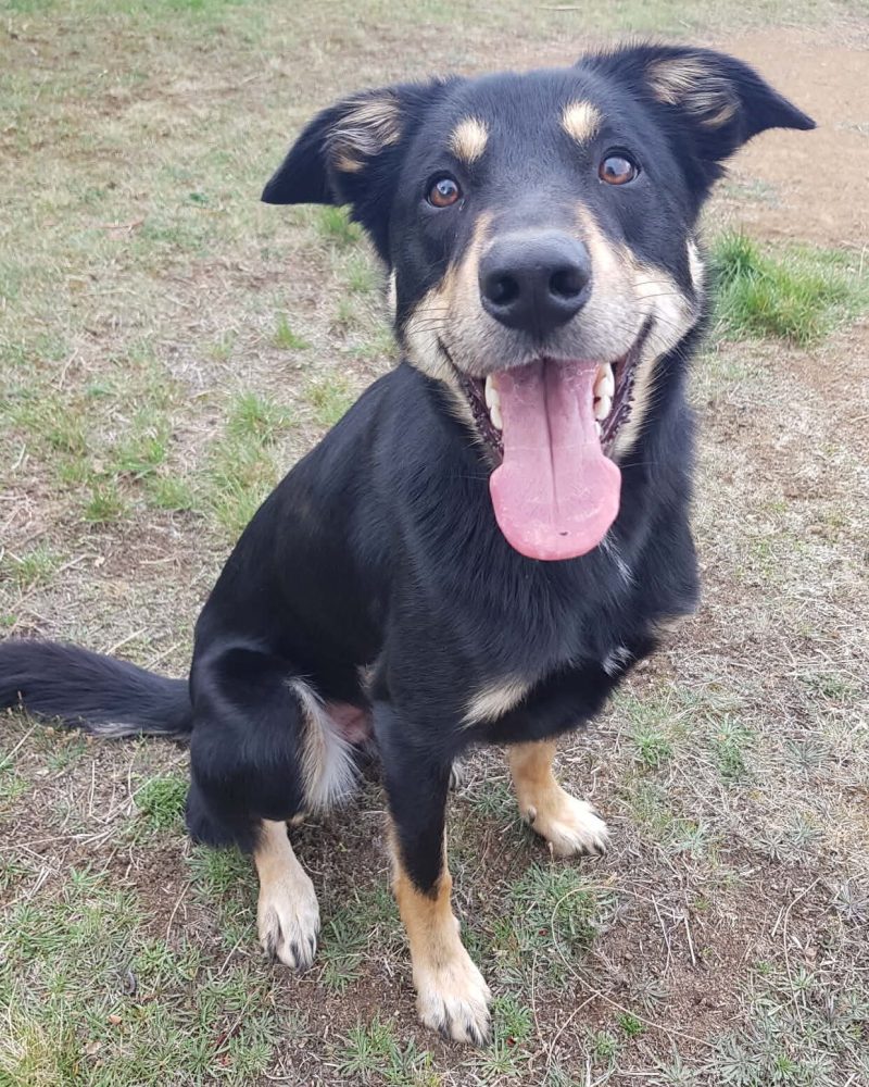 Cedric sitting outside with a smile