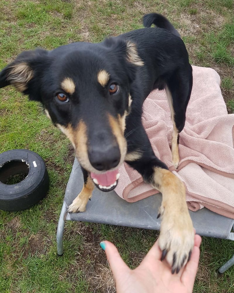 Cedric shaking a staff member's hand