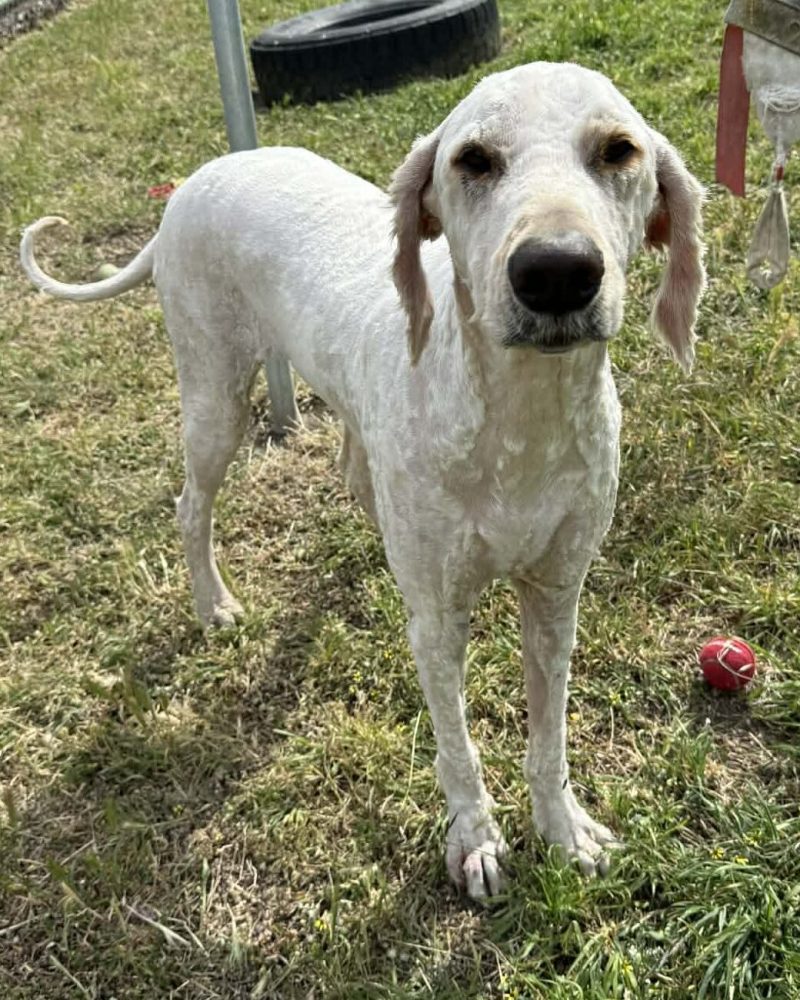 Ted standing outside