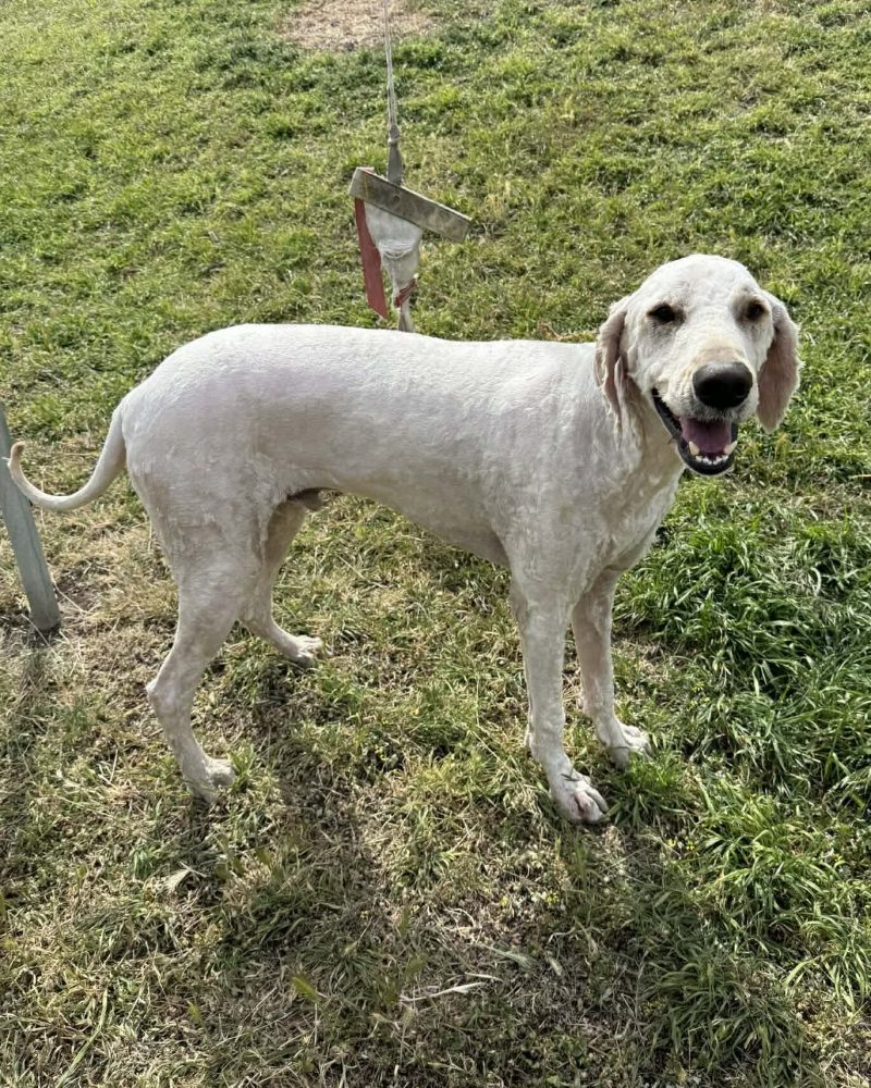 Ted standing outside looking happy