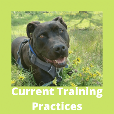 Current Training practices (2)